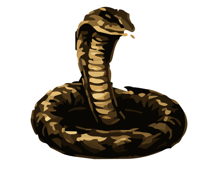 King Cobra