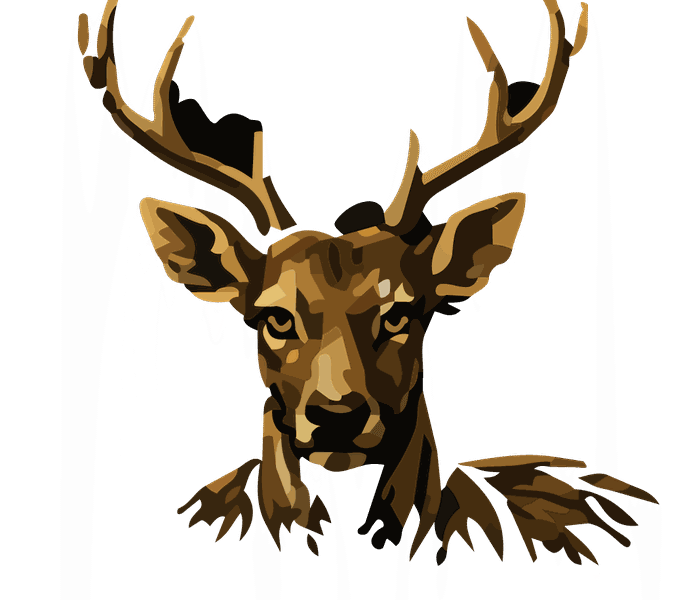 Spotted Deer