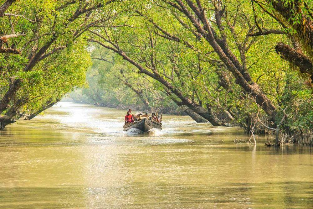 Sundarban expedition