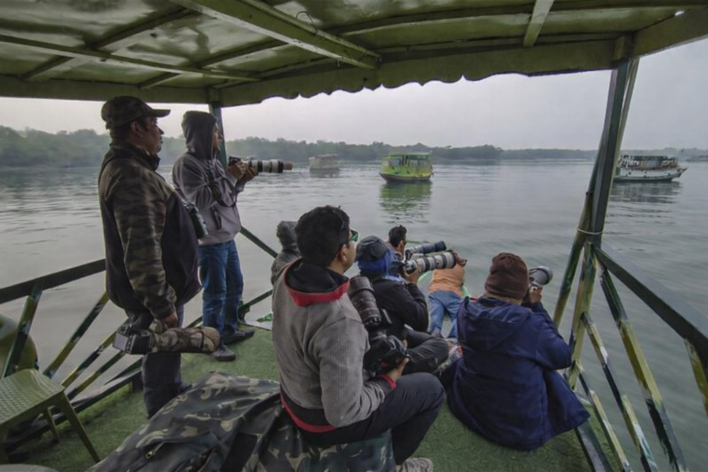 Sundarban expedition