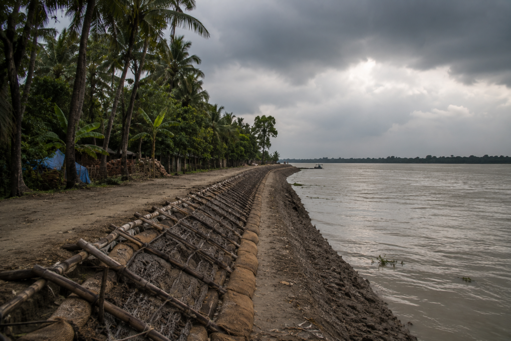 Basanti- Cyclones And Survival