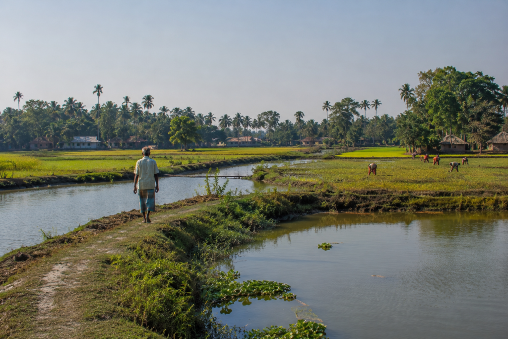 Jaynagar Life Between the Tides