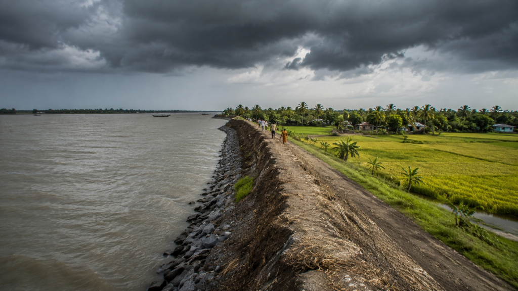 The Seasons of the Sandeshkhali