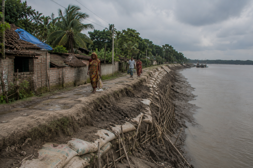 Hasnabad Cyclones and Survival