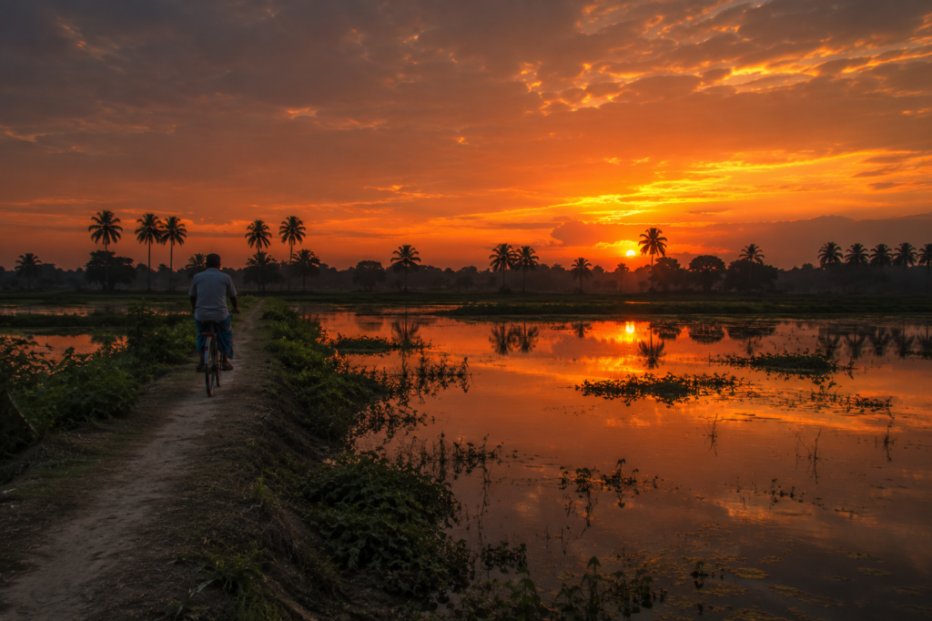 Haroa Where the Wetlands Keep the Memory of Water