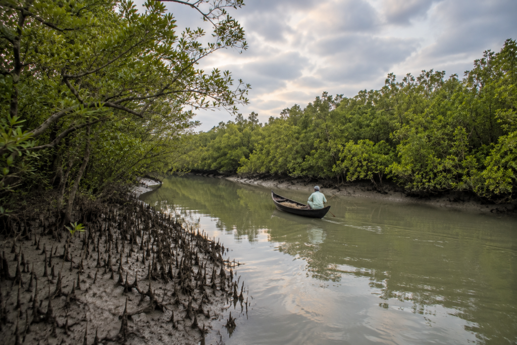 The Waters That Shaped Henry's Island