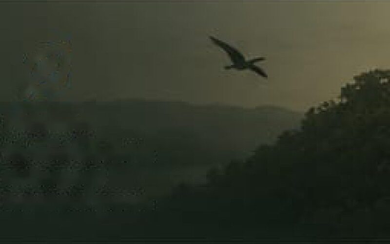 Birding Expedition