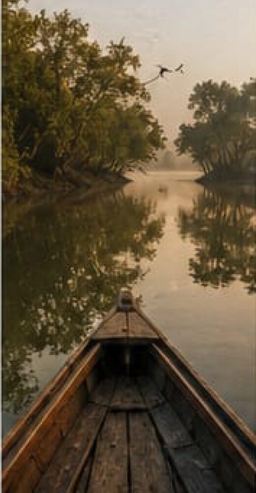 Mangrove Ecology Expedition
