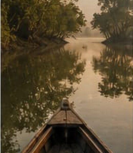 Mangrove Ecology Expedition