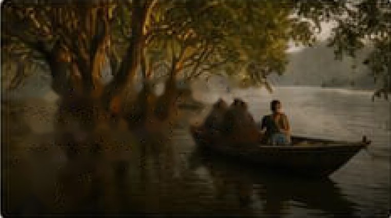 Classic Sundarbans Experience