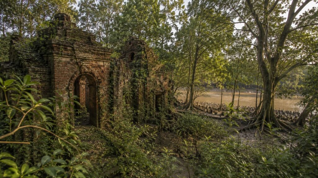 Netidhopani — photograph 4